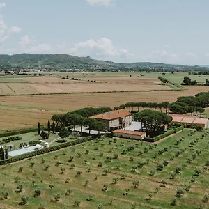 Terra Di , Cortona Włochy